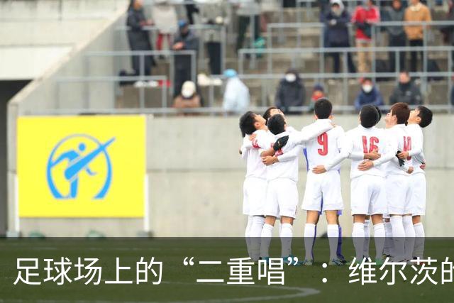 足球场上的“二重唱”：维尔茨的神奇旅程